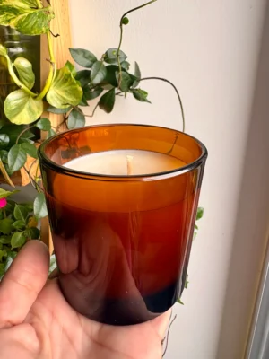 Vela Ambar (minorista)